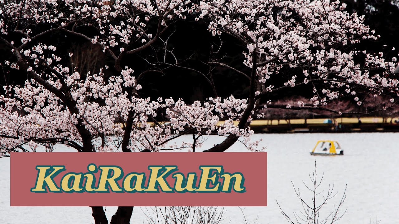 Immersive street-level walking tour through Mito Kairakuen, Japan, showcasing authentic urban landscapes, local architecture, and the vibrant atmosphere of the city's neighborhoods