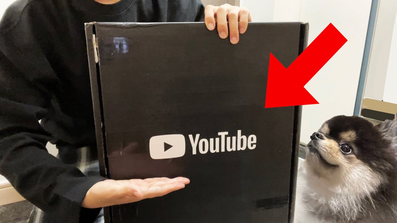 아니 골드버튼 왜 이제 옴?