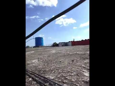 Aquí la paloma llegó con el paloma y entra a dar cajón #palomas #cajon #6 #100k