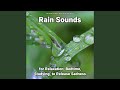 Magnificent Rain