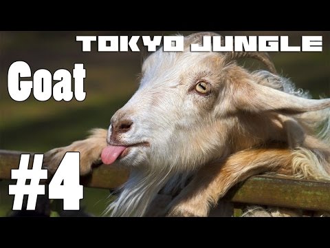 Tokyo Jungle: Goat Survive over 100 years Part 4 of 4