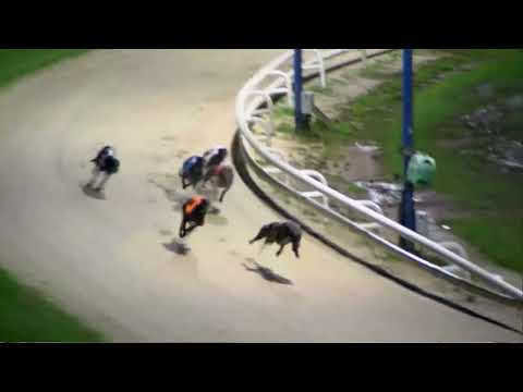 2021 ST LEGER FINAL - SPACE JET