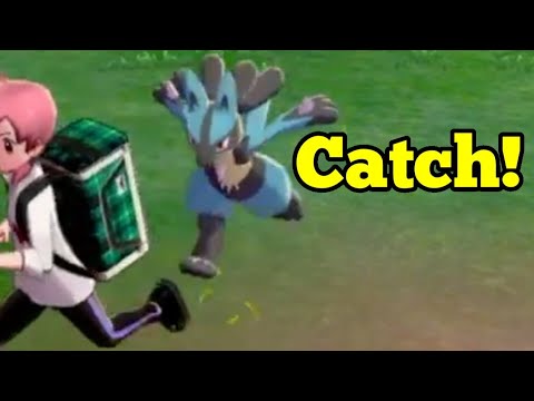 Catch Lucario. 100% Encounter Rate - And Location of Justified. Pokemon Sword Shield Riolu & Lucario