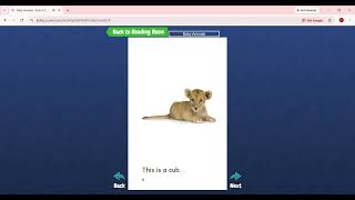 Level A.Baby Animals