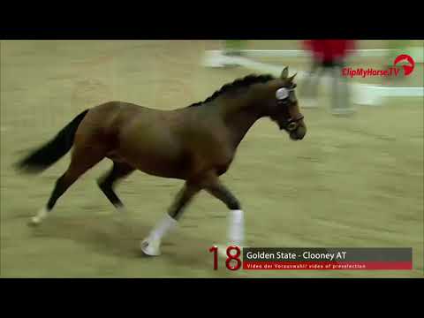 18 Junghengst v. Golden State - Clooney