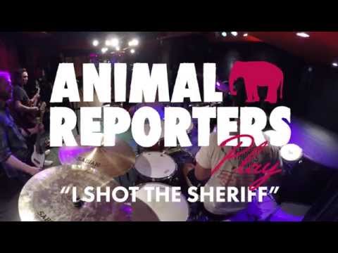 Animal Reporters - I Shot The Sheriff • Written By Bob Marley • 4K Video