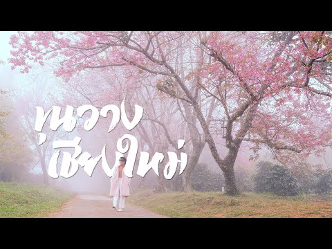 Royal Agricultural Research Center (Khun Wang)