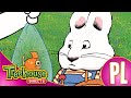 Maks I Ruby Obserwacja PtakÃ³w Mini Klip Ep 49 ðŸ ðŸ ðŸ