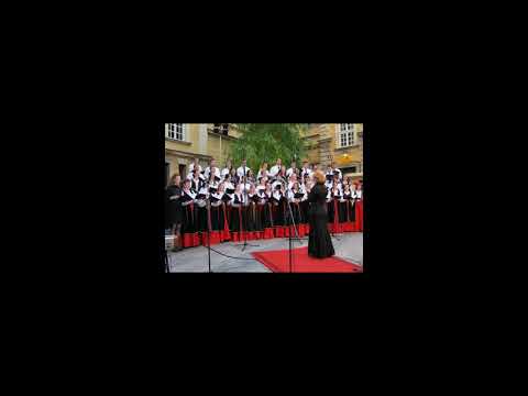 U zori Maro, Konstantin Babić