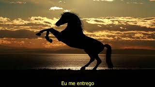 Knorkator - Lied Vom Pferd - Tradução Português BR