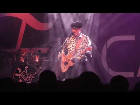 Fischer-Z   Angel of Gardenia