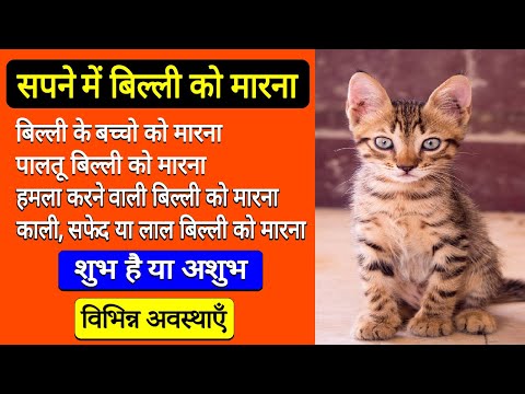 Sapne me bili ko marna | killing cat in dream | billi ko marne ka sapna dekhna kaisa hota hai