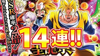 聖龍祭！チケットでも出やすい！？【ドッカンバトル#2194】【DragonballZ Dokkan battlel】　
