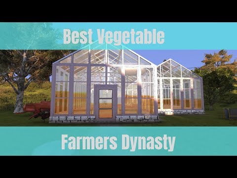 Best Crop to Grow in the Greenhouse in Farmers Dynasty [60FPS]
