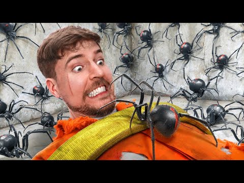 Enfrenta tu mayor miedo para ganar $800,000 MrBeast en Español