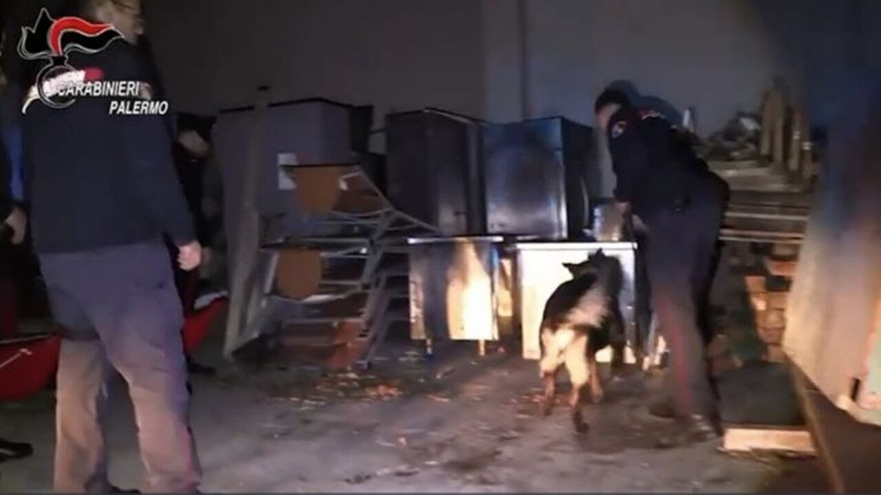 Palermo, omicidio Incontrera: tre arrestati per aver aiutato l'assassino