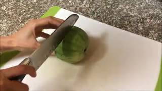 世界一のがっかりスイカ