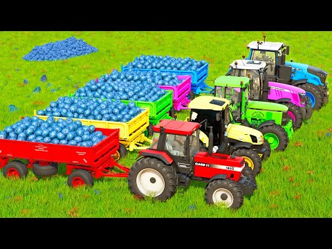 TRANSPORT BLUEBERRIES WITH JOHN DEERE & CASE & NEW HOLLAND & FENDT TRACTORS BATTLE - FS22