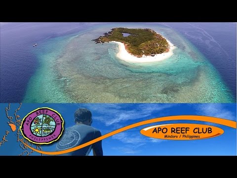 APO REEF DIVING - Apo Reef Club Aerial Video