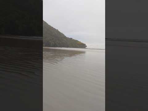 Canto do bora bora, boracéia, são Sebastião, São Paulo.