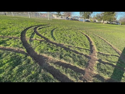 'Deliberate, inconsiderate vandalism': Jeep driver tears up grass at Tahoe Park
