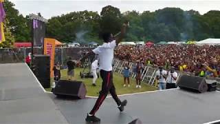 Kuami Eugene live at Ghana Party In The Park 2019
