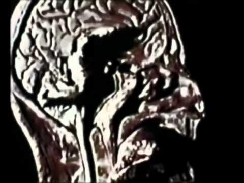 S.K.O.R. - "The Unknown"