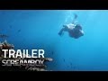 The Reef Trailer