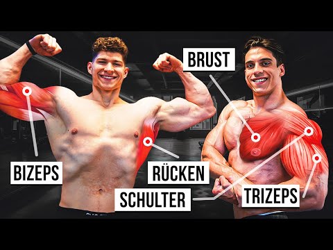 Upper Body Workout Plan for Beginners at the Gym! (Free)