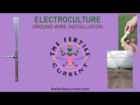 Electroculture Ground Wire Installation. @TheFertileCurrent