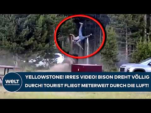 Video Thumbnail: YELLOWSTONE PARK: Irres Video! Bison dreht völlig durch! Tourist fliegt meterweit durch die Luft!