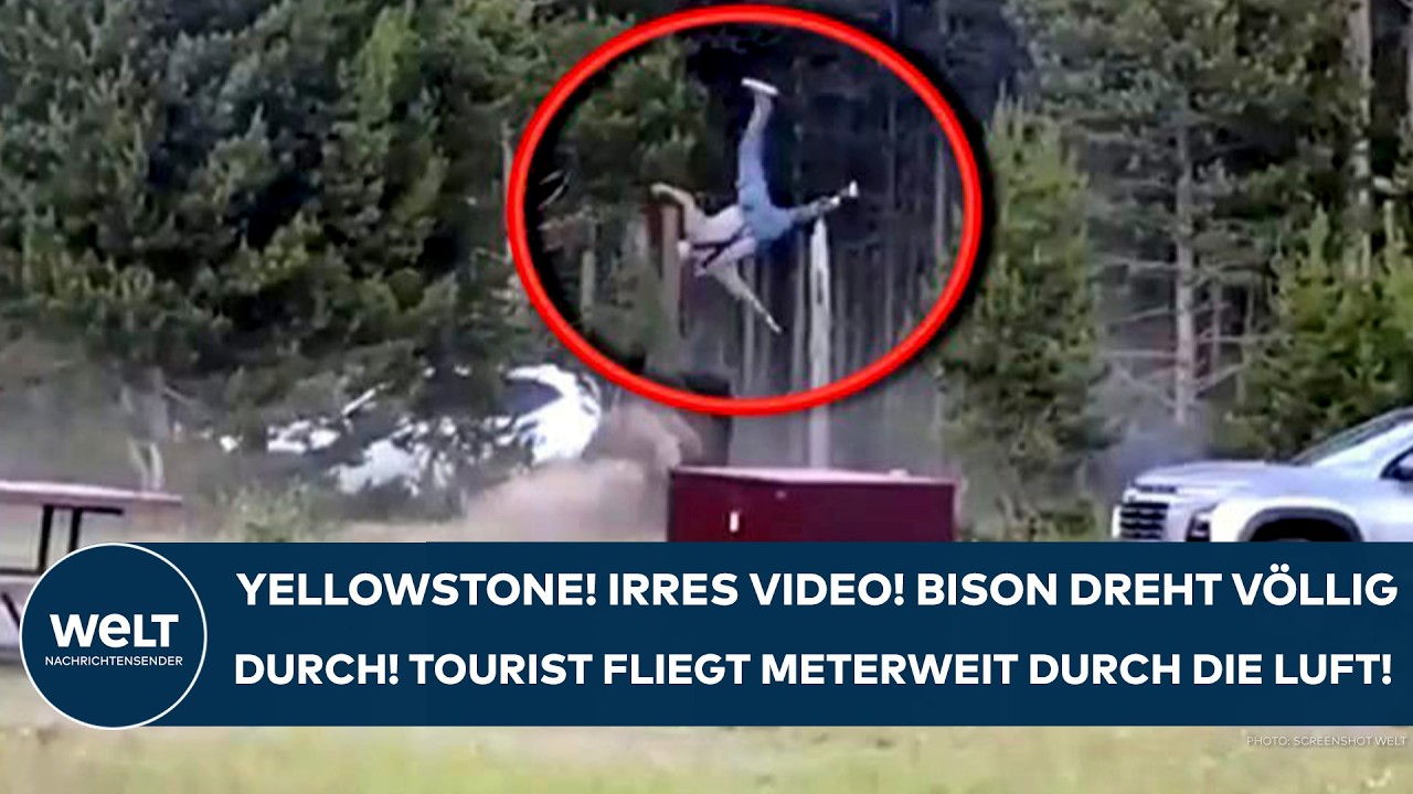 YELLOWSTONE PARK: Irres Video! Bison dreht völlig durch! Tourist fliegt meterweit durch die Luft!