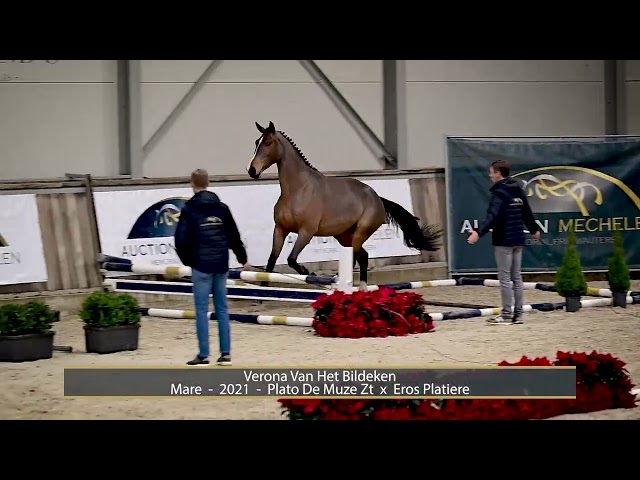 Verona Van Het Bildeken