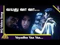 Thulluvadho Ilamai Tamil Movie Songs Vayadhu Vaa Vaa Video Song Dhanush Sherin துள்ளுவ