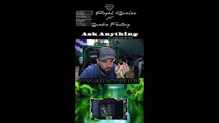 Snake Q&A