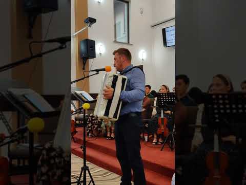 Nelu Isip    Cuvinte eu nu am deajuns....