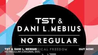 TST & Dani L. Mebius - No Regular (Original Mix)