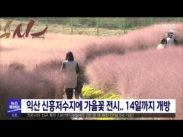 익산 신흥저수지에 가을꽃 전시.. 14일까지 개방