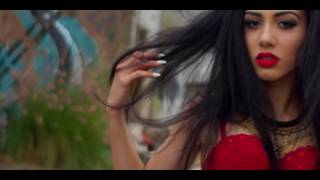 Purr Lyrics English Translation