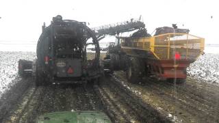 ND beet harvest