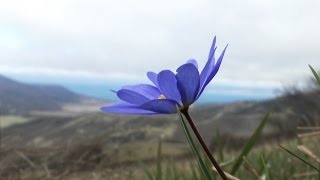 preview picture of video 'По горам Новороссийска до сафари парка Геленджика / beautiful places in Novorossiysk'