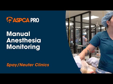 Spay/Neuter Anesthesia: Manual Anesthesia Monitoring
