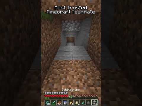 Most Trusted Minecraft Teammate REVEALED!