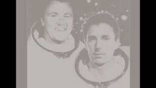 Filia Brazilia - Leggy