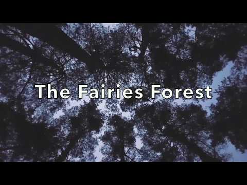 The Fairies Forest