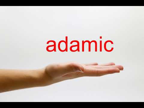 How to Pronounce adamic - American English