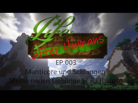 Life after Rudi - 003