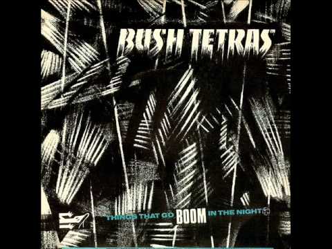 BUSH TETRAS things that go boom in the night 1981