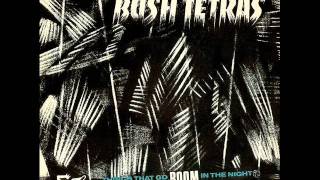 BUSH TETRAS things that go boom in the night 1981