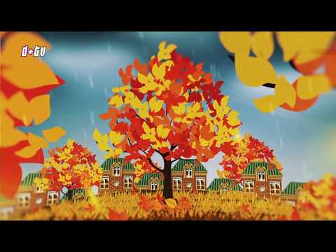 2017. december 30. Híradó